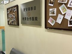 -米苏动物医院·犬猫专科·骨科外科内窥镜