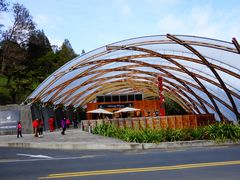 -怀托摩萤火虫洞