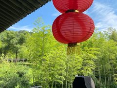 -大唐贡茶院