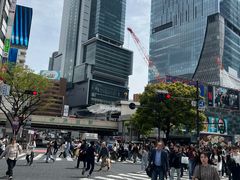 -涩谷全向十字路口