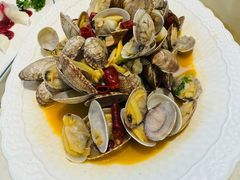 辣炒青岛小花蛤-船歌·鱼水饺青岛菜(国贸商城店)
