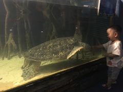 -苏州海洋馆