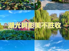 -济南大明湖景区