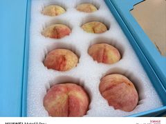 -老袁家蜜桃农场·阳山水蜜桃