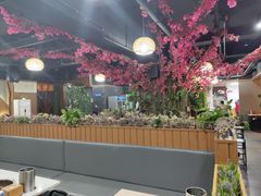 大堂-来伊回麻辣烫·火锅串串清真(红瓦寺总店)