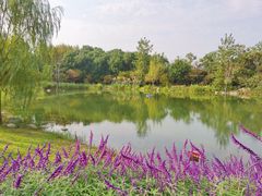-澹台湖公园