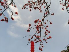 -南海神庙