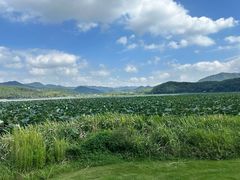 -东钱湖旅游度假区