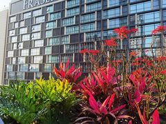 室外景色-财神鸡煲(华强北店)