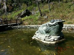 -大连天门山国家森林公园