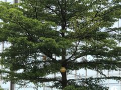 -广州长隆野生动物世界