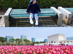 -大宁郁金香公园-停车场