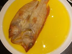 鸡油蒸风干东星斑-甄御•海鲜新青岛菜(麦岛店)