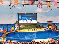 -海合安天津极地海洋公园