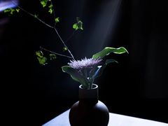 -法云安缦酒店
