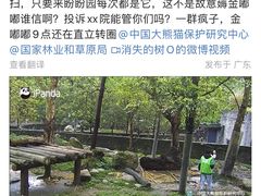 -都江堰中华大熊猫苑
