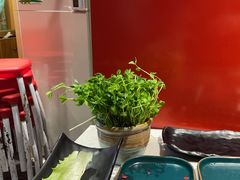 -牛村来人潮汕牛肉火锅(西单店)