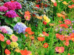 -人民公园(罗湖区)