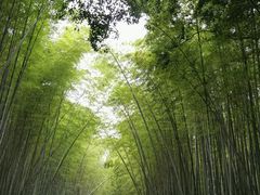 -同里国家湿地公园