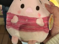 纪念品-上海迪士尼度假区