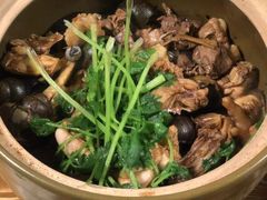 -食爺炭炉鸡煲·烧烤