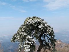 -秦岭终南山世界地质公园翠华山景区