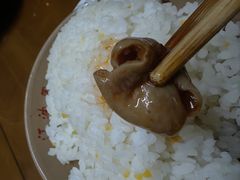 -周肥肠(江油总店)
