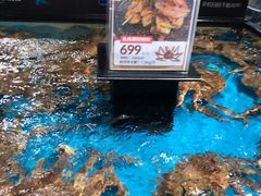 -盒马鲜生(曜一城店)