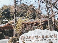 -东明山森林公园