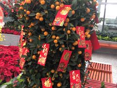 -广州白云机场雅高铂尔曼大酒店