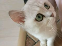 -青春加萌照相馆
