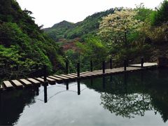 iphone_upload_pic-溪口-滕头旅游景区