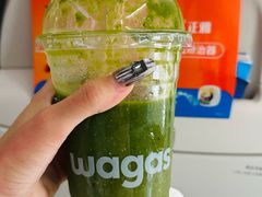 -Wagas沃歌斯(虹桥机场T1店)