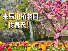 -上海辰山植物园