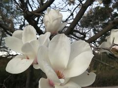 -昆明春城湖畔度假村