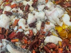 -金三可市井水煮鱼(金碧园店)