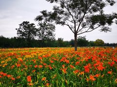 -汉长安城未央宫国家考古遗址公园