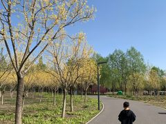 -东郊湿地公园