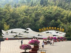 -西双版纳原始森林公园