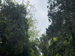 -灵谷景区