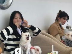 -怪兽屋·羊驼·猫咖·狗咖(俊华广场店)