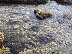 -西涌国际滨海旅游区