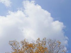 -安徽工业大学(秀山校区)