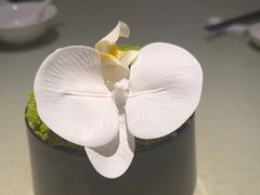 -明州府(文化广场店)