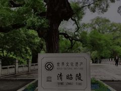 -北陵公园
