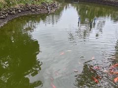 -海南文笔峰盘古文化旅游区