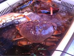 iphone_upload_pic-沈家门海鲜夜排档(东港店)