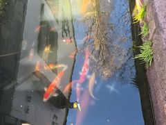 -乌镇东栅景区