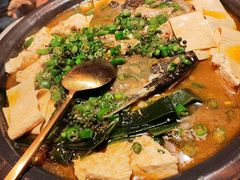 -探鱼·鲜青椒爽麻烤鱼(北京路天河城店)