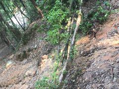 -火炉山森林公园